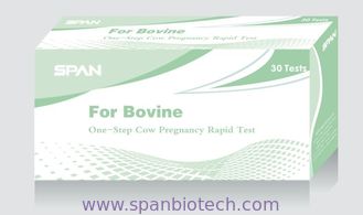 The Cow Pregnancy Diagnostic Rapid Test