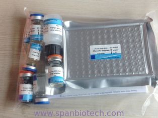 Human Collagen Type Ⅳ(COL Ⅳ) ELISA TEST Kit